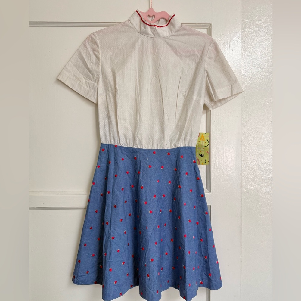 Vintage Embroidered Dress